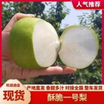 【精选】酥脆一号口感脆甜规格齐全价格优惠全国代发