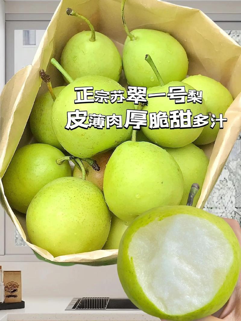 【精选】酥脆一号口感脆甜规格齐全价格优惠全国代发