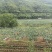 武夷山基地发布：青山绿水出好瓜