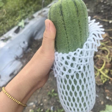 武夷山基地发布：青山绿水出好瓜