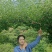 7月20号左右大量出芙蓉李，有需求的老板联系我。