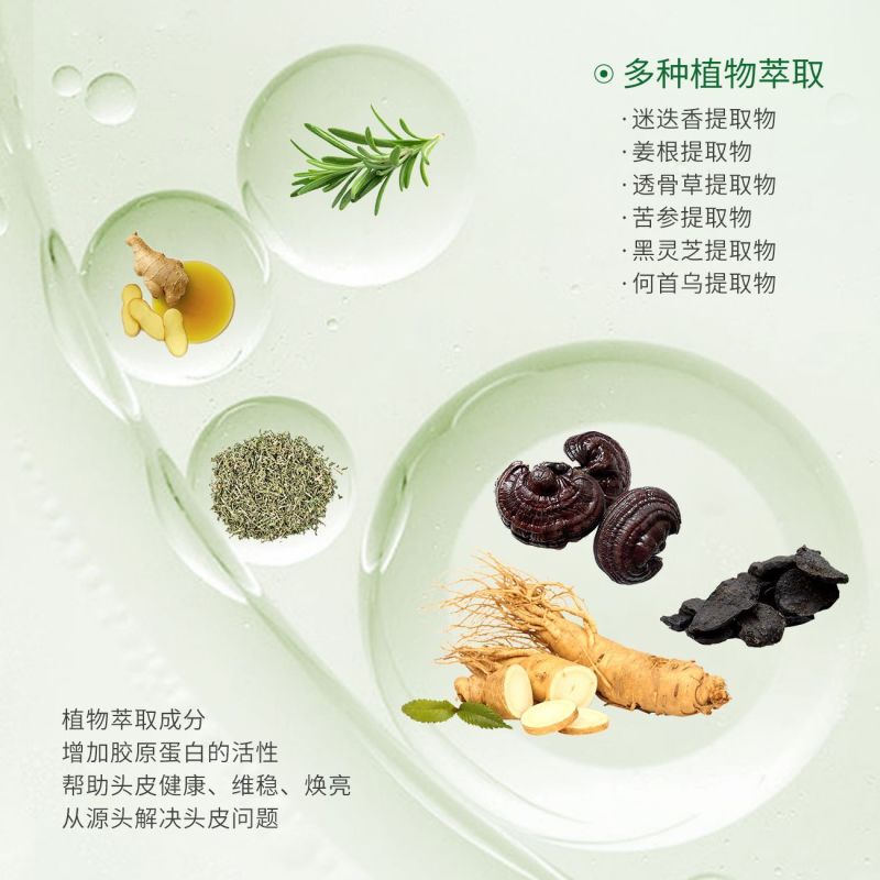 柔顺洗发水控油蓬松丝滑持久留香去屑止痒清洁