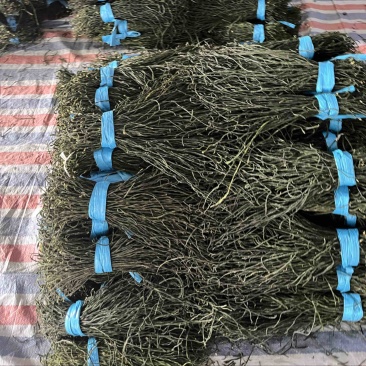 烘干豆角精品山东产地直销常年供应