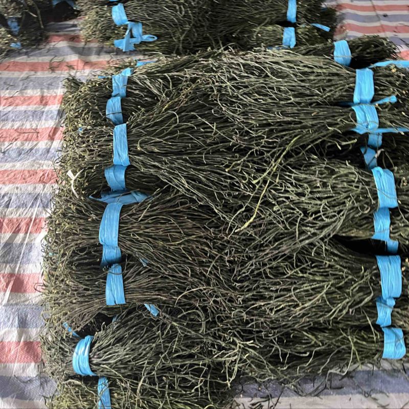 烘干豆角精品山东产地直销常年供应