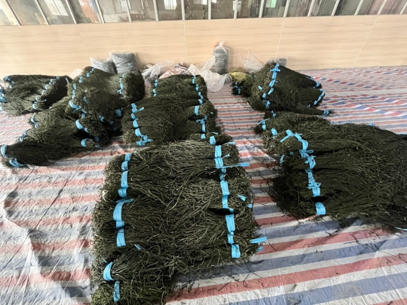 烘干豆角精品山东产地直销常年供应