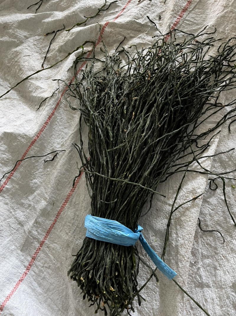 烘干豆角精品山东产地直销常年供应