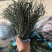 烘干豆角精品山东产地直销常年供应