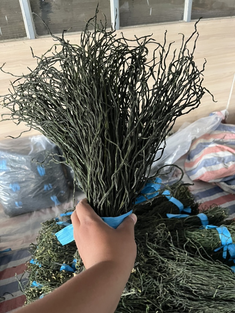 烘干豆角精品山东产地直销常年供应