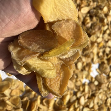 土豆干烘干菏泽产地直销全国发物流