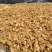 土豆干烘干菏泽产地直销全国发物流