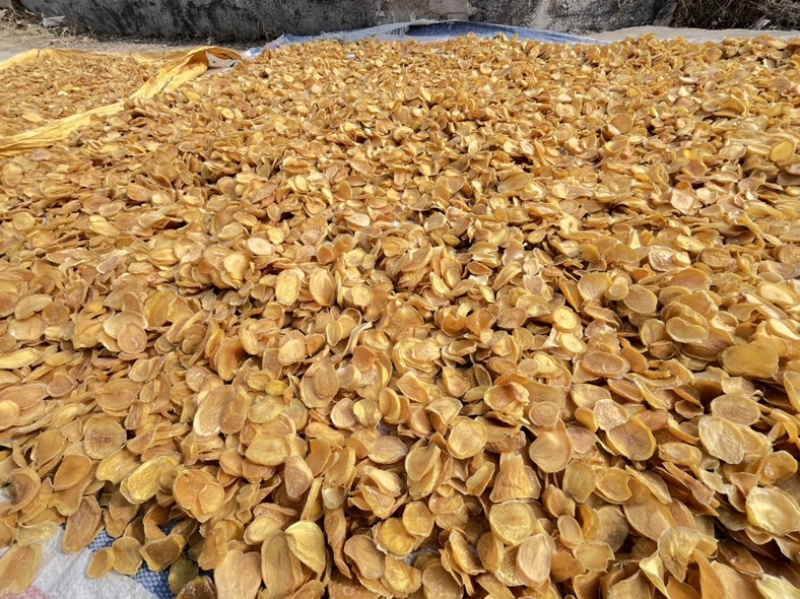 土豆干烘干菏泽产地直销全国发物流
