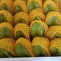 杨桃