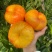 砀山彩虹蟠桃个大脆甜多汁