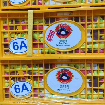 广州江南市场自提，山竹：160元箱，每箱7kg