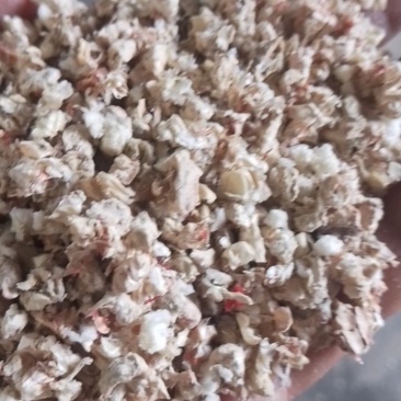 优质玉米芯颗粒