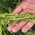 25年早稻即将迎来收割季节