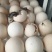 孔雀蛋
