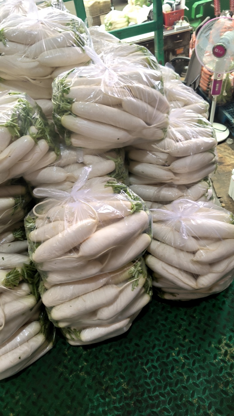 精品散装白萝卜