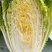 精品！黄心白菜。