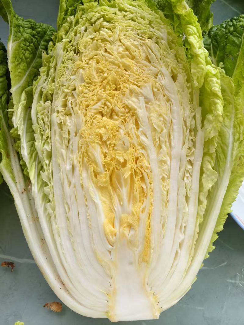 精品！黄心白菜。