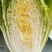 精品！黄心白菜。