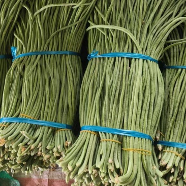 精品豆角大量有货