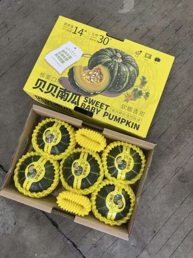 贝贝南瓜礼盒装/精品