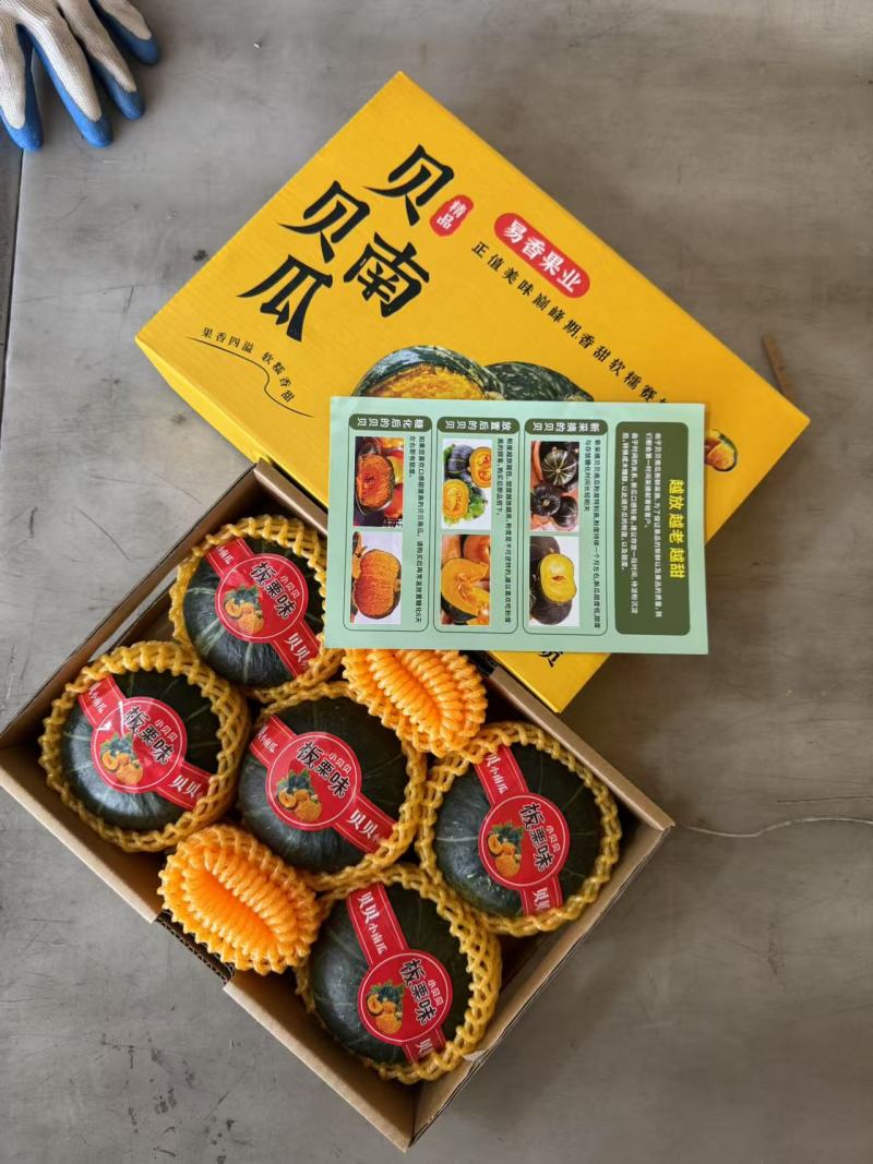 贝贝南瓜礼盒装/精品