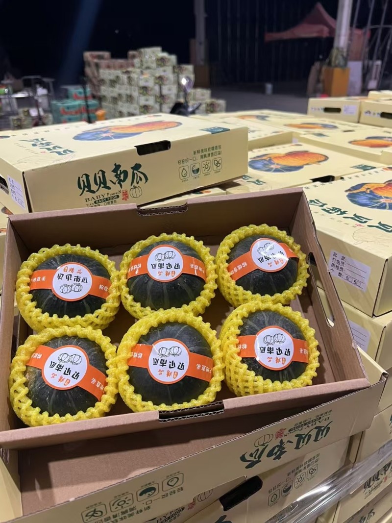 贝贝南瓜礼盒装/精品