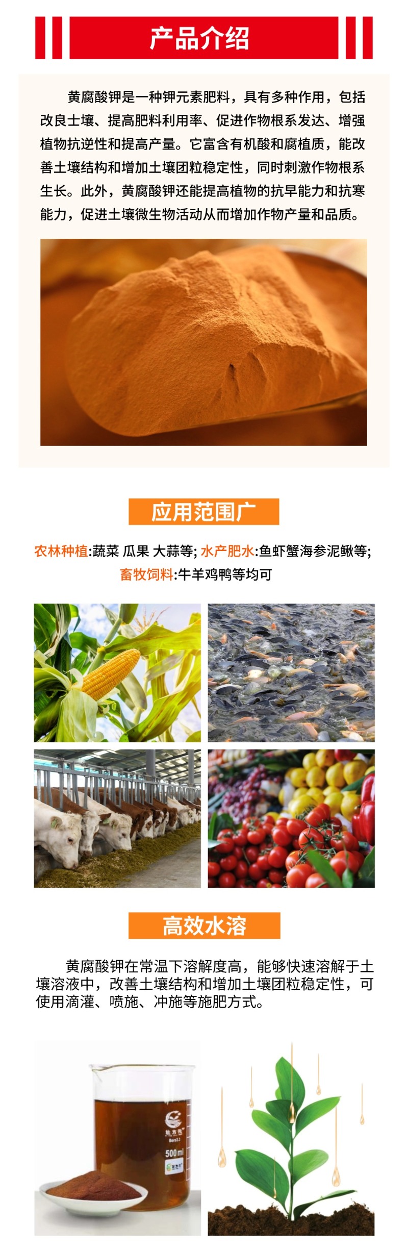 生化黄腐酸钾广西肥料粉剂种植水产肥支持复合肥有机肥代加工