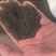 车钱子无硫质量保证批发零售各种中药材农副产品……