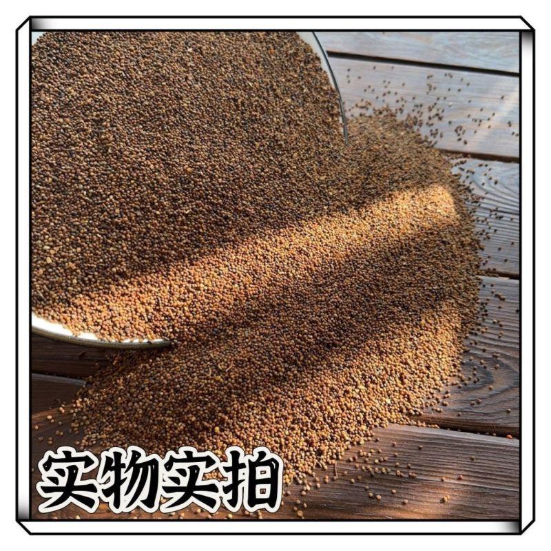菟丝子内蒙水洗货干净无硫质量保证批发零售各种中药材…