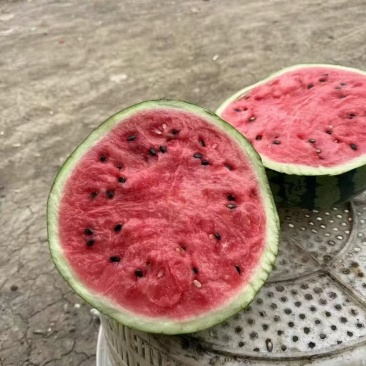 美都西瓜