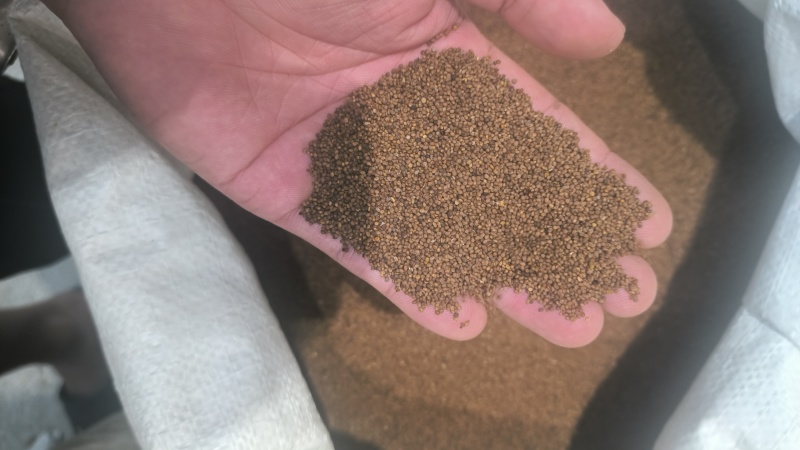 菟丝子内蒙水洗货干净无硫质量保证批发零售各种中药材…