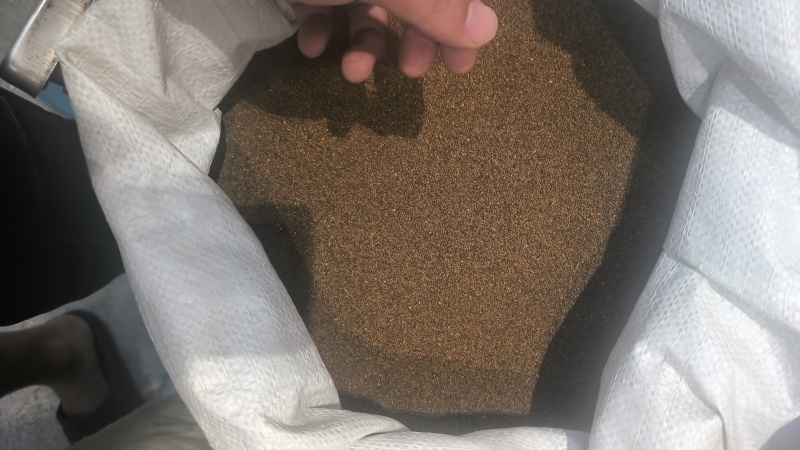菟丝子内蒙水洗货干净无硫质量保证批发零售各种中药材…