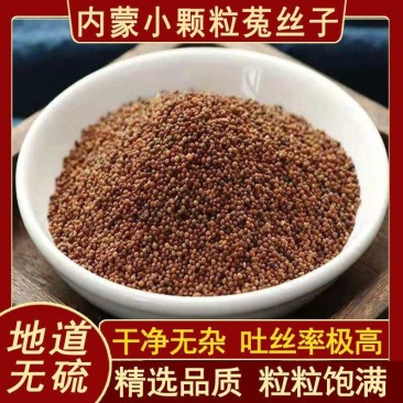 菟丝子内蒙水洗货干净无硫质量保证批发零售各种中药材…