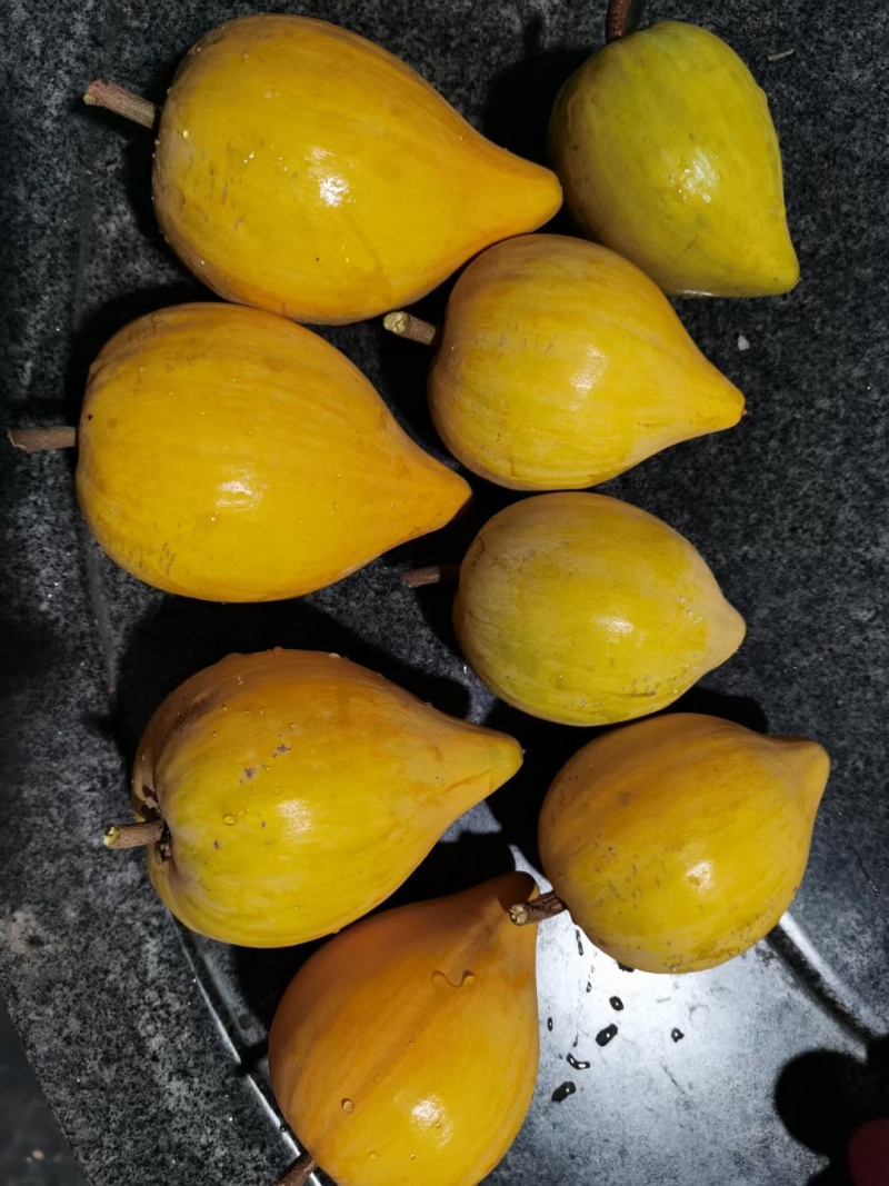 蛋黄果