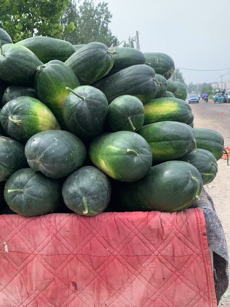 黑皮冬瓜