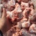 满肉前腿骨