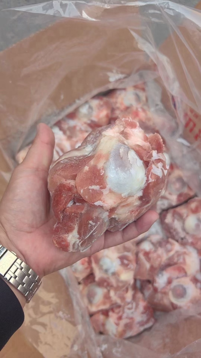 满肉前腿骨