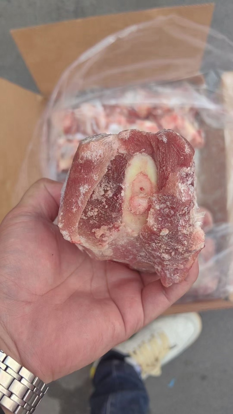 满肉前腿骨