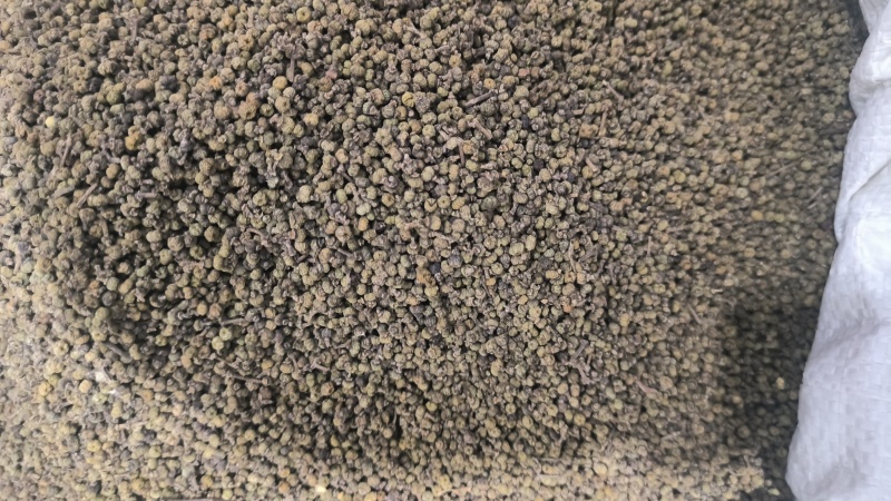 吴茱萸正品无硫质量保证大中小花规格齐全假一罚十…