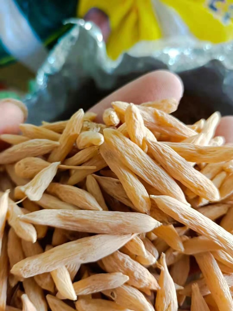 麦冬山麦冬精品麦冬自然晾晒中药材麦冬基地直发