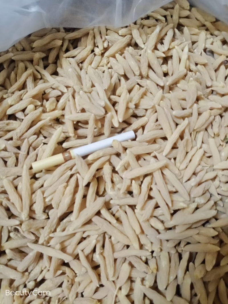 麦冬山麦冬精品麦冬自然晾晒中药材麦冬基地直发