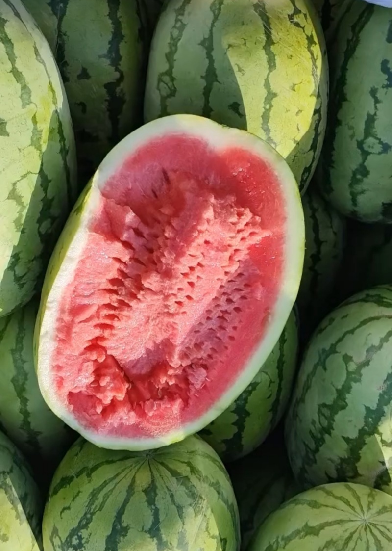 硒砂瓜~西瓜中的上品。宁夏硒砂瓜已上市，需要采购联系