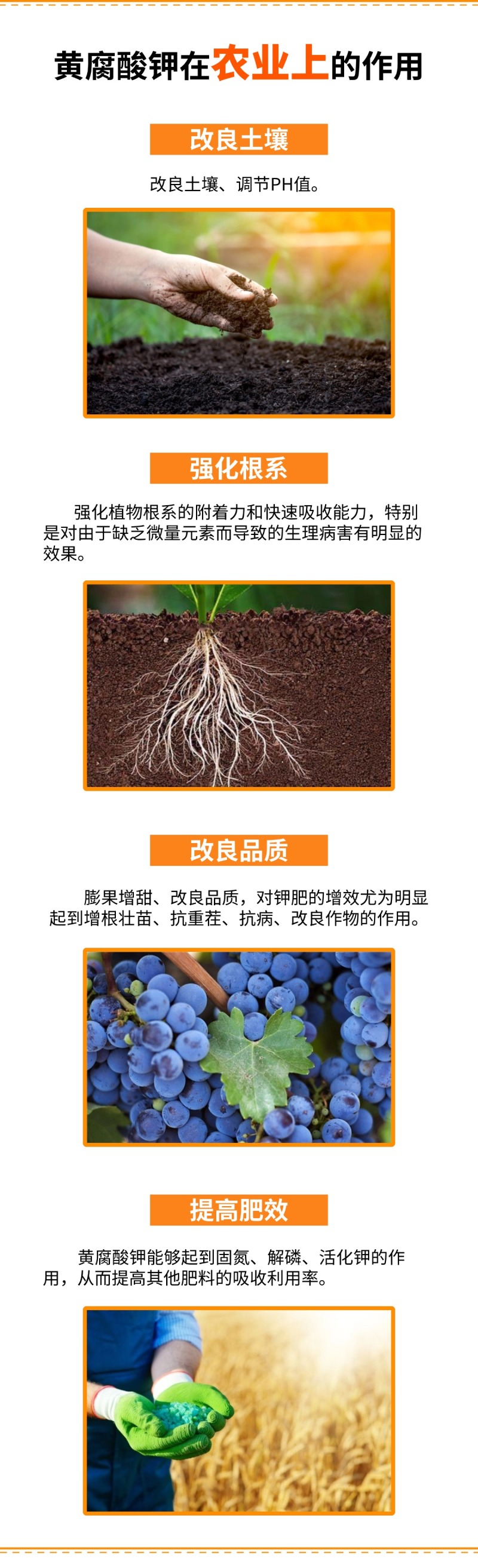 黄腐酸钾粉剂糖蜜粉水溶滴灌喷施农业种植水产饲料添加用