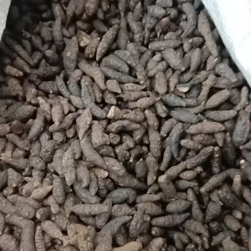 药材醋香附，香附片，诚信经营，欢迎咨询