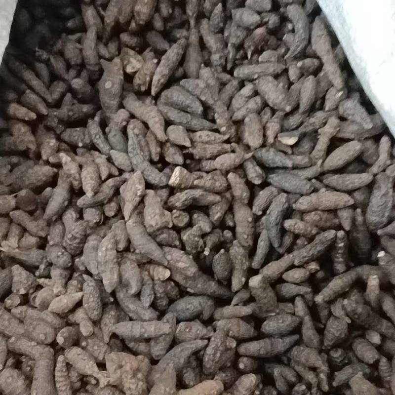 药材醋香附，香附片，诚信经营，欢迎咨询