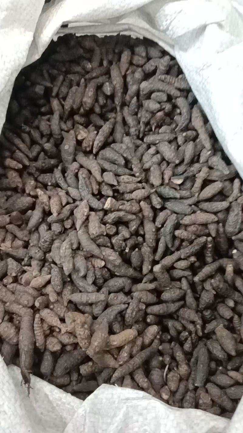 药材醋香附，香附片，诚信经营，欢迎咨询