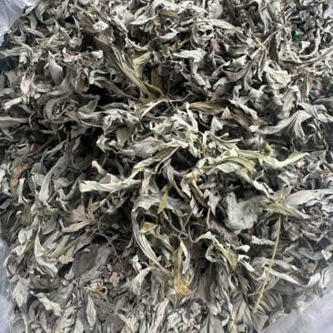 艾草野生正宗艾叶干货产地直供量大从优